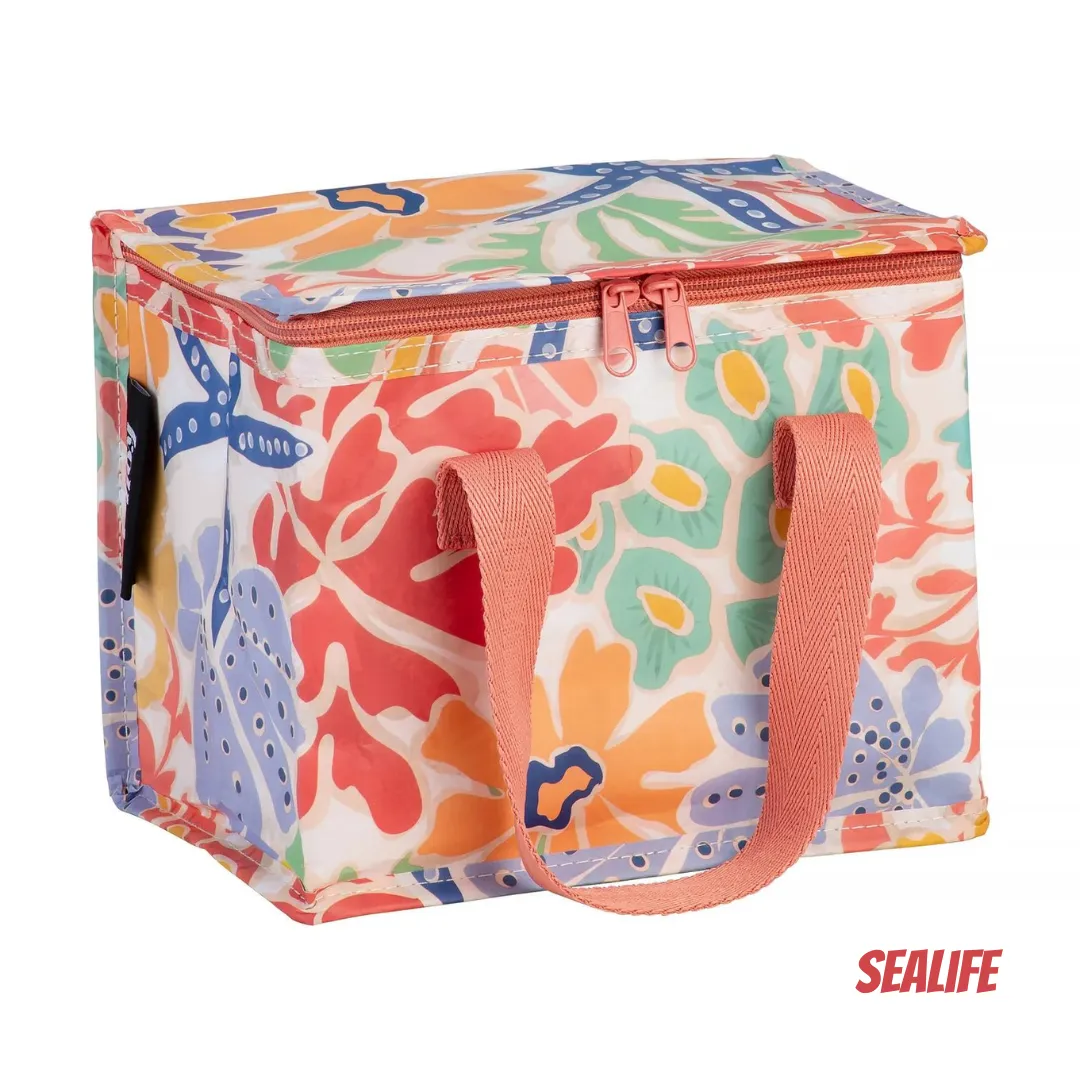 Kollab Lunch Box - Various Designs