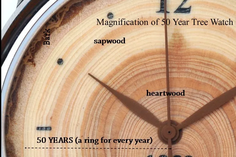 Mens Watch Made of Tree Rings, Perfect 50th Birthday Gift or Anniversary Gift for Parents