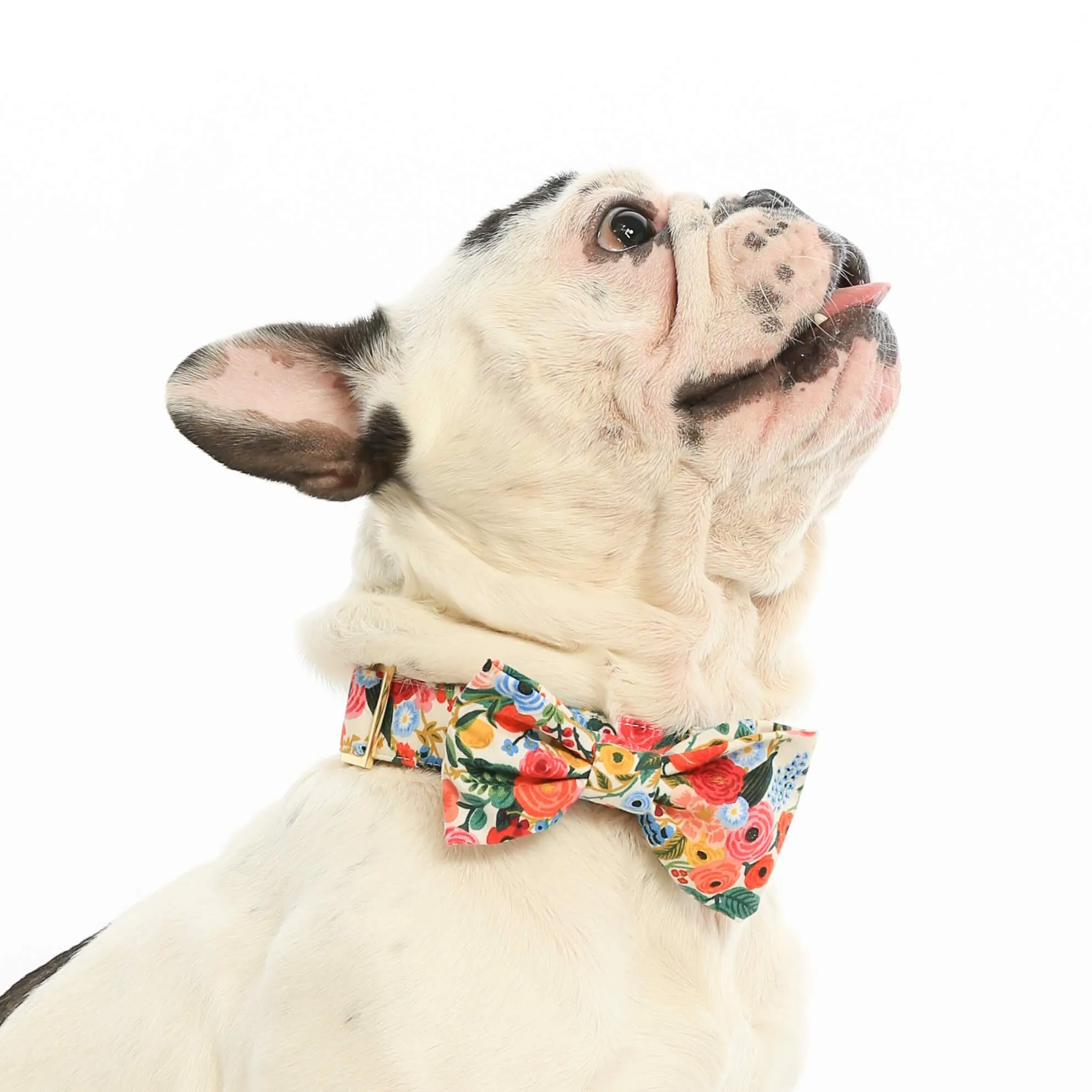 Rifle Paper Co. x TFD Garden Party Dog Bow Tie