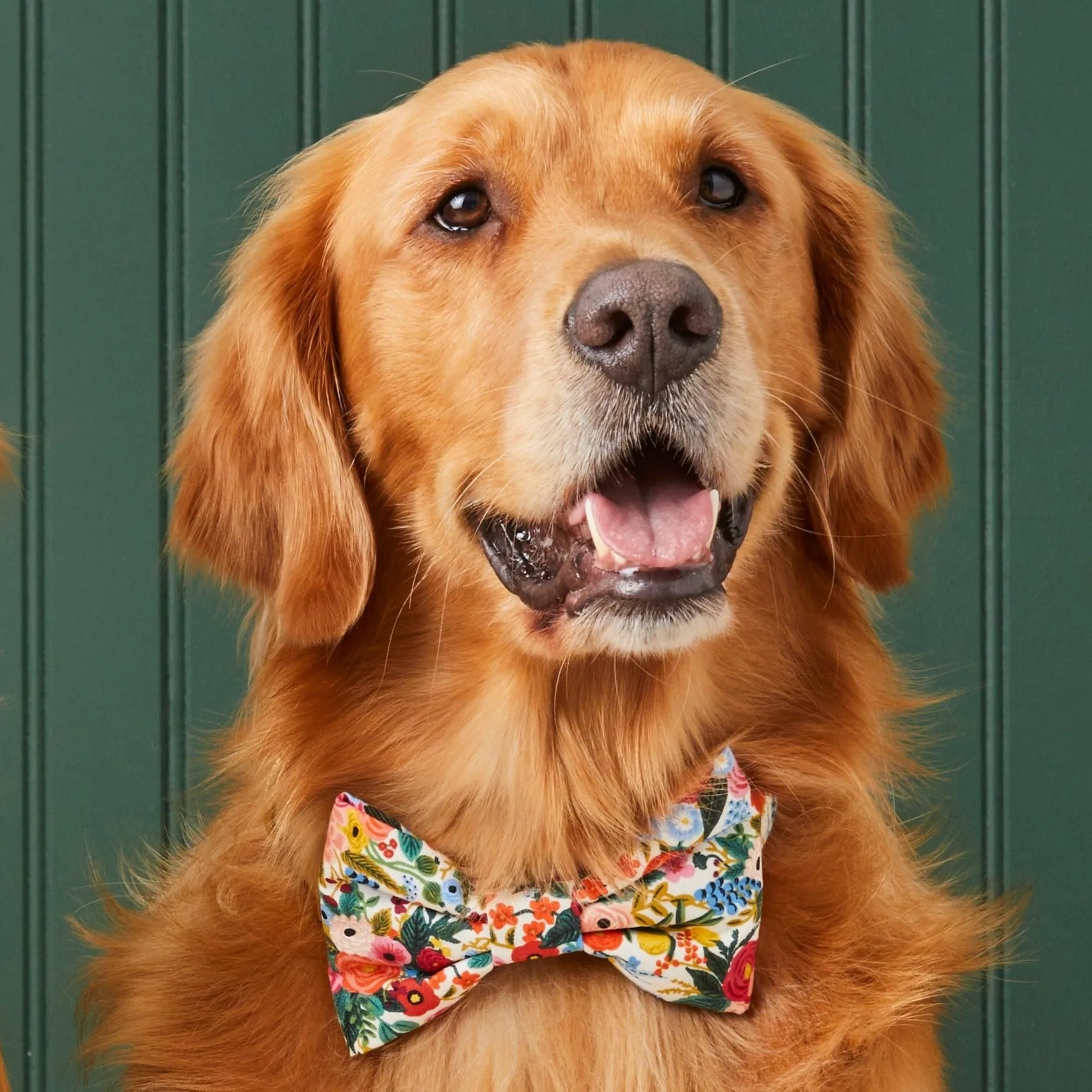 Rifle Paper Co. x TFD Garden Party Dog Bow Tie