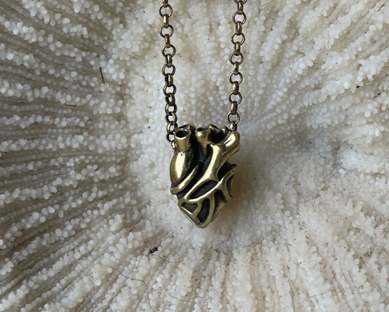 small anatomical heart