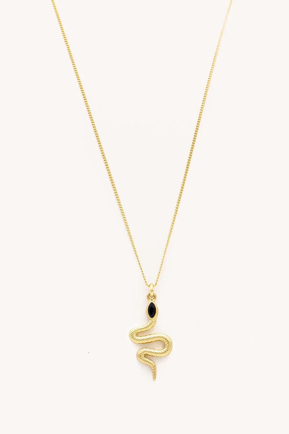 Snake Charm Necklace